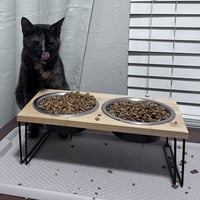 Lu #whiskered-shadow - Photo 3
