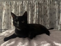 Trouble - Photo 3