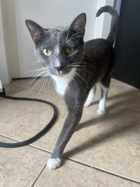 Bubba - Photo 2
