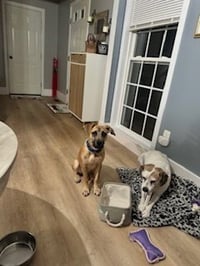 Scoobert - Photo 20