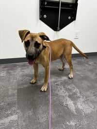 Scoobert - Photo 17