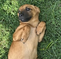 Daisy May - Photo 3