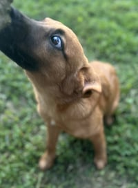 Daisy May - Photo 8