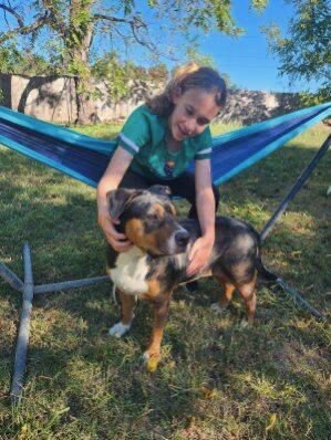 CALI - Pit Bull Terrier available for adoption