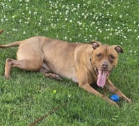 Rosie - Photo 7