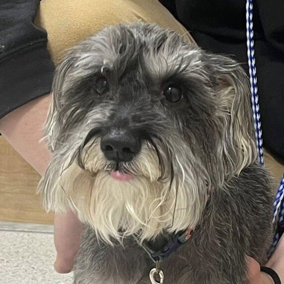 Priscilla Presley - Photo 3