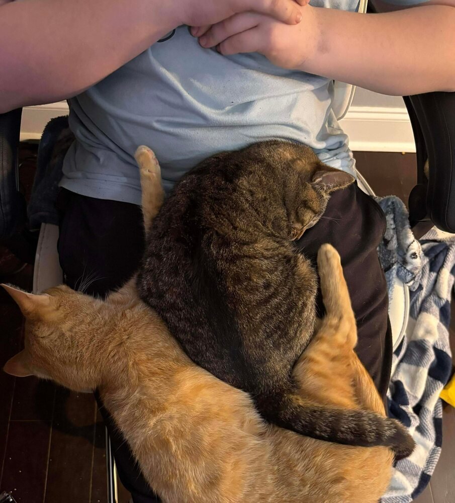 Diana Ross - Photo 4