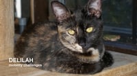 Delilah - Photo 1