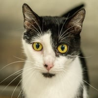 Dottie - Photo 1