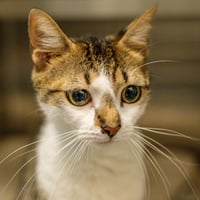 Miss Patty - Photo 2