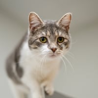 Marjorie - Photo 2