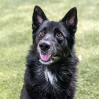 Griff - Photo 1