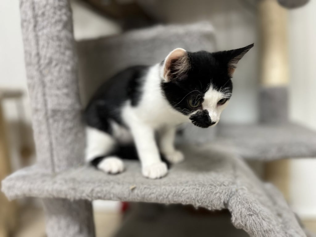 Marbles Image
