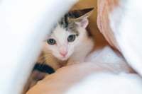 Bill - Photo 2