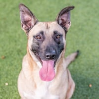 Dave - Photo 1