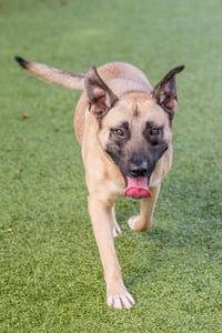 Dave - Photo 3