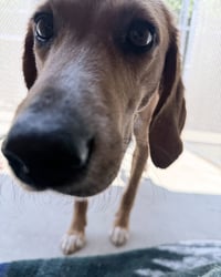 Brewster - Photo 1