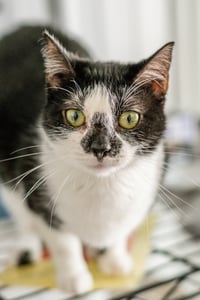 Hermione - Photo 4