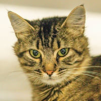 Razzmatazz - Photo 1