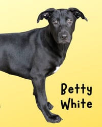 Betty White - Photo 1
