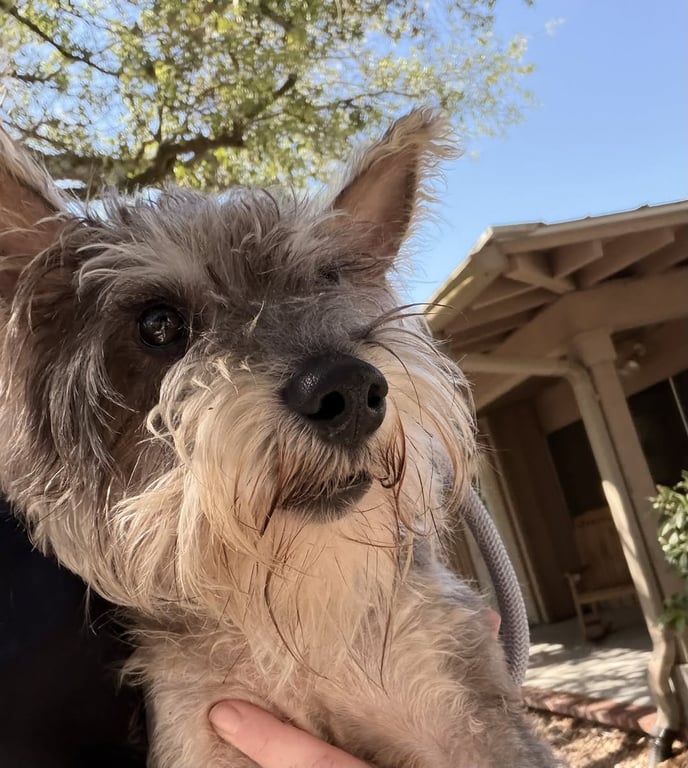 Toto Image