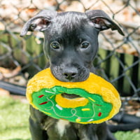 Widget - Photo 1