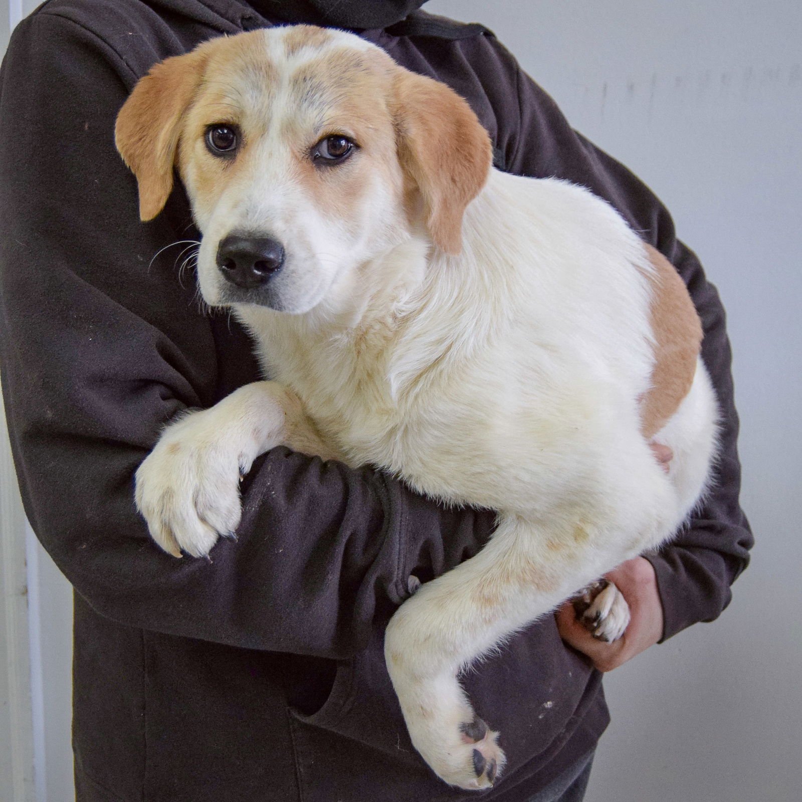 Temperance - Photo 3