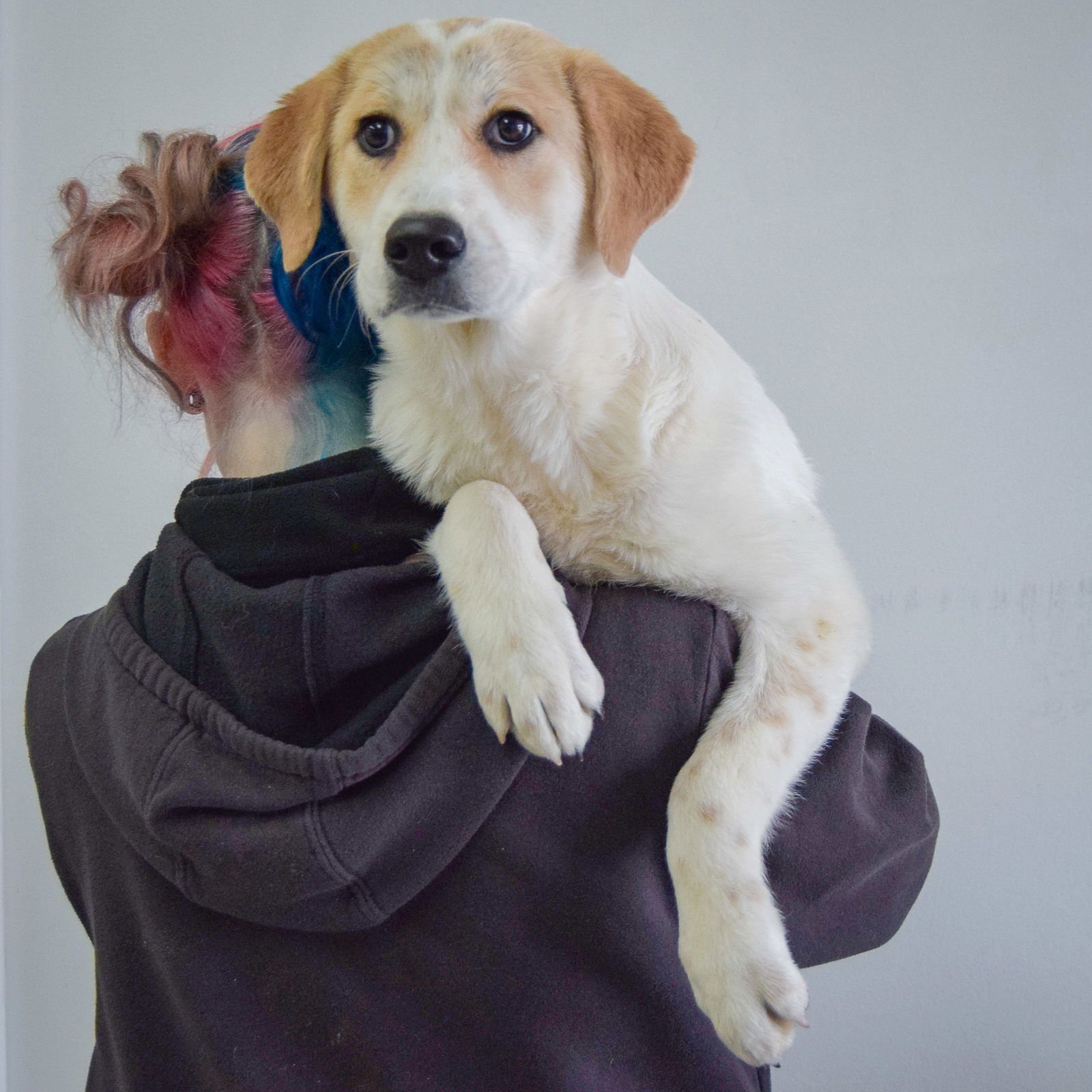 Temperance - Photo 4