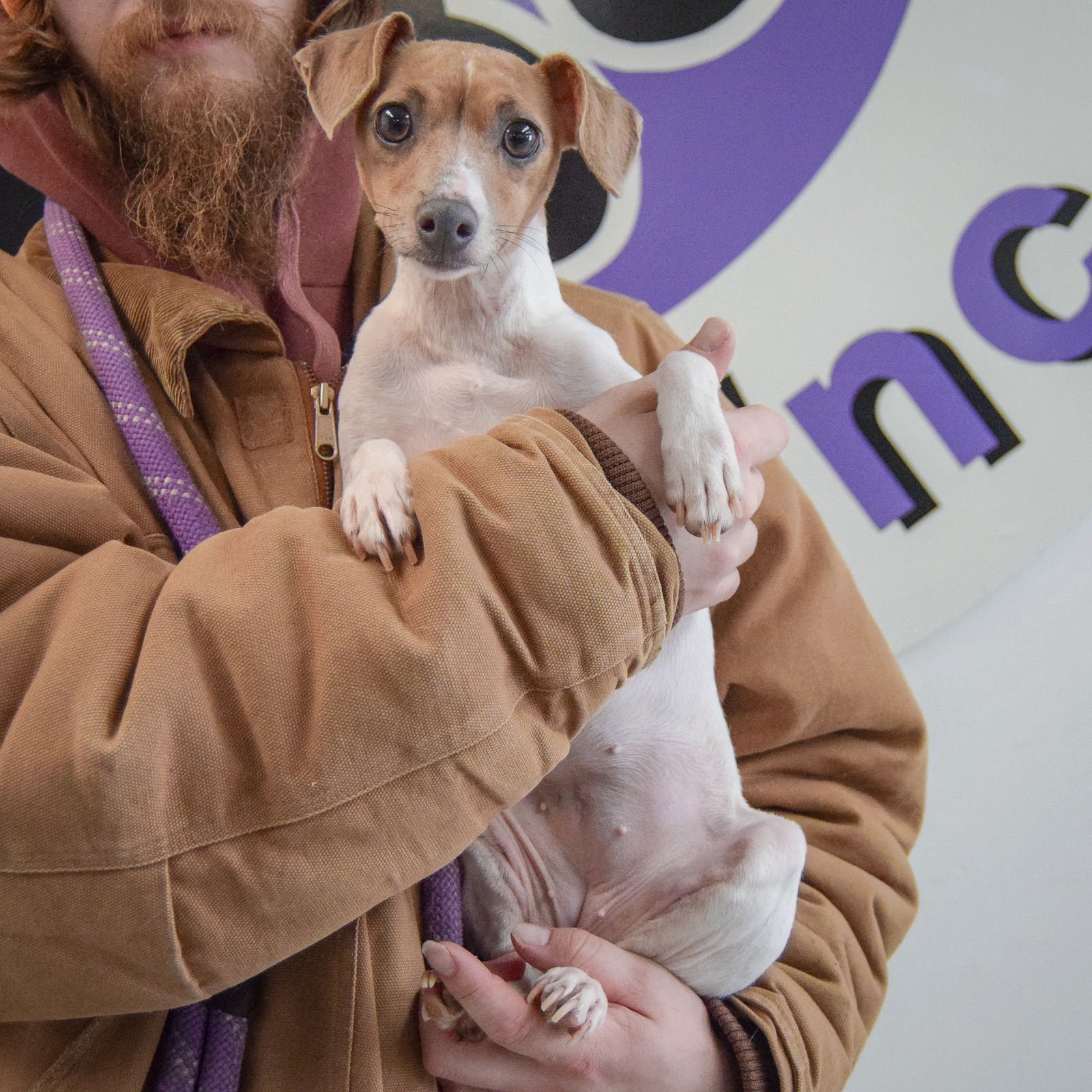 Cinnamon Stix - Photo 4