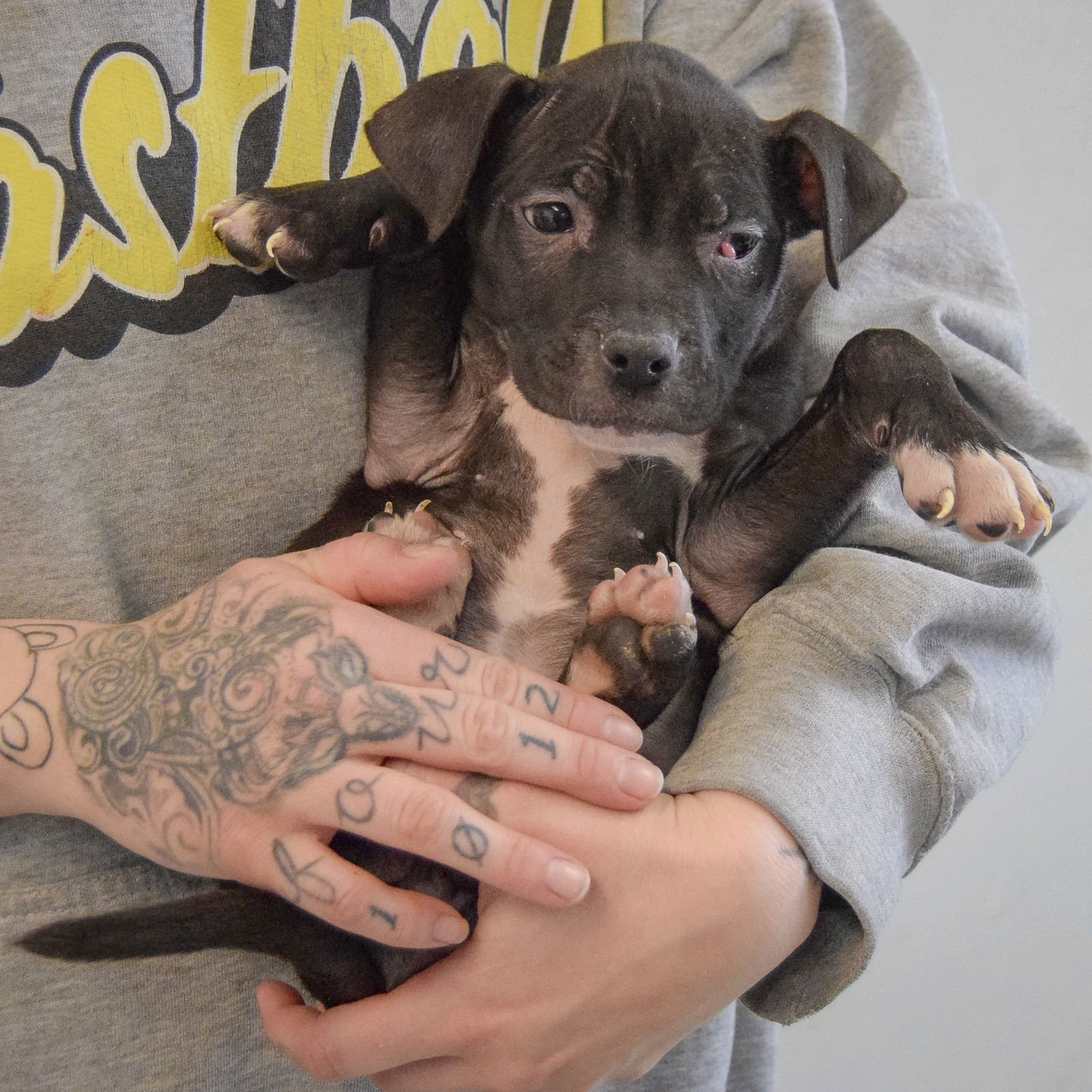 Claire Bear - Photo 4