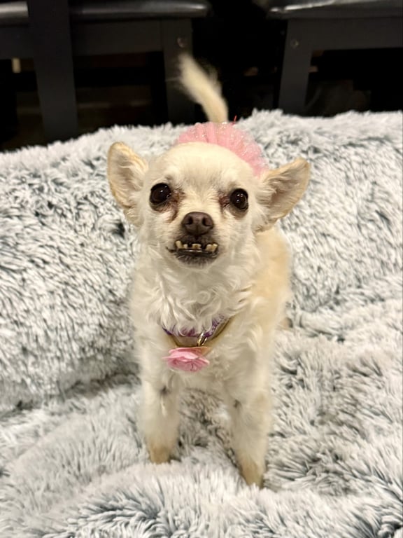 Sophie Image