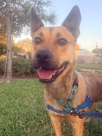 Charlie - Photo 5