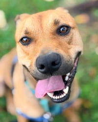 Charlie - Photo 3