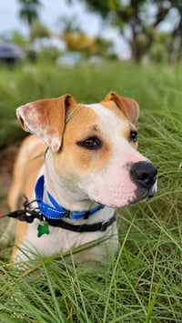 Morgan - Photo 5