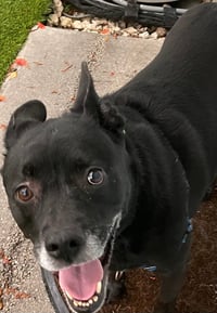 Sadie - Photo 16