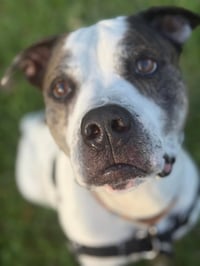 Axel - Photo 1