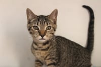 Cheech - Photo 3