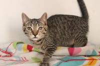 Cheech - Photo 2