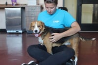 Ruger - Photo 3