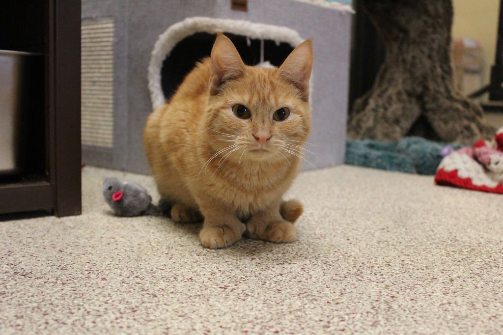 Bean Bohnanza - Photo 4