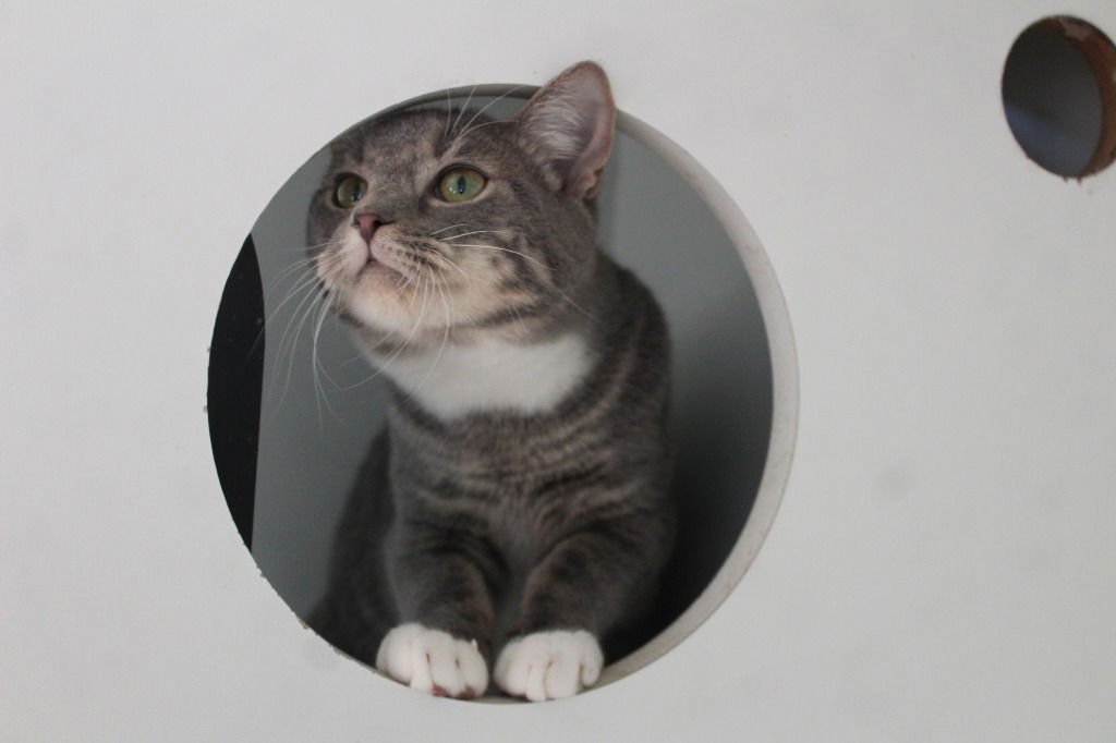 Spill the Beans - Photo 3