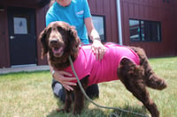 Millie - Photo 3