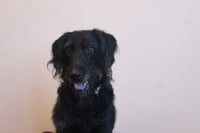 Xena - Photo 2