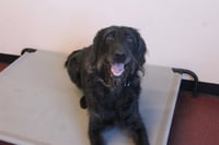 Xena - Photo 4