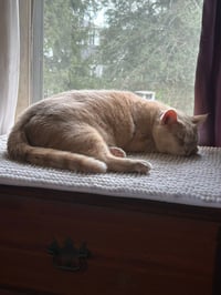 Etta Mommy - Photo 3