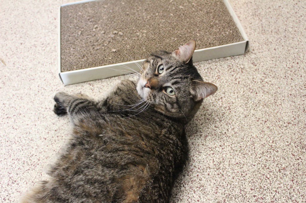 Randall Boggs - Photo 3