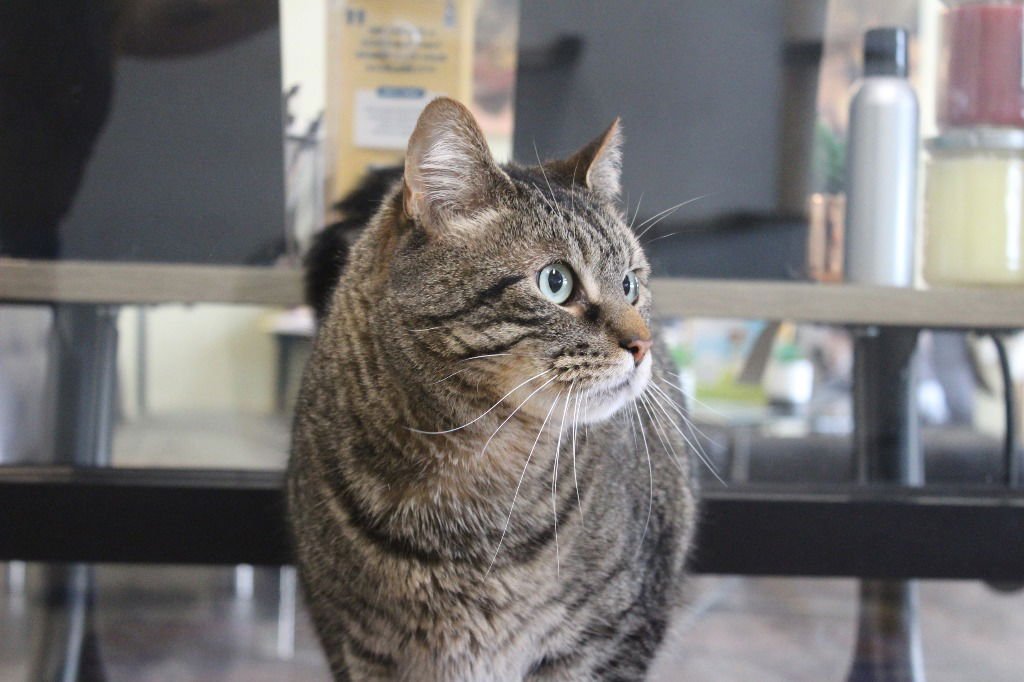 Randall Boggs - Photo 4