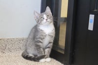 Ghastly - Photo 4