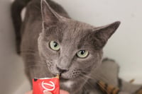 Nimbus - Photo 2