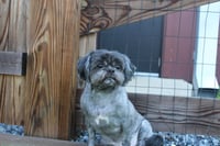 McGee - Photo 3